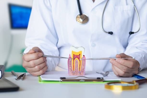 Best Emergency Broken Tooth Repair in North Tustin, CA